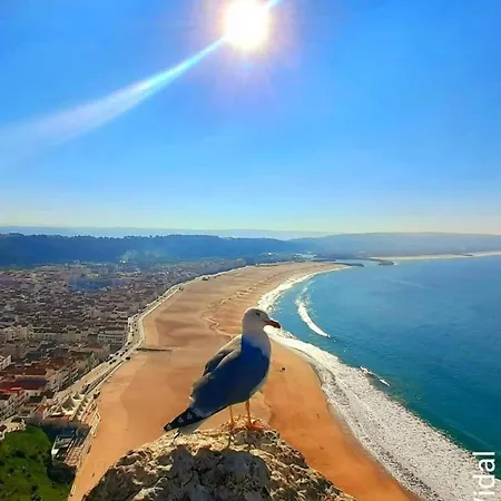 Maresia Villa Mar Nazare Exterior photo